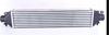 INTERCOOLER FIAT DOBLO (263_)